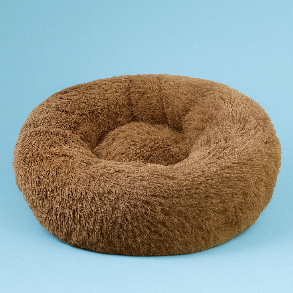 Upgrade Your Pet's Happiness Today