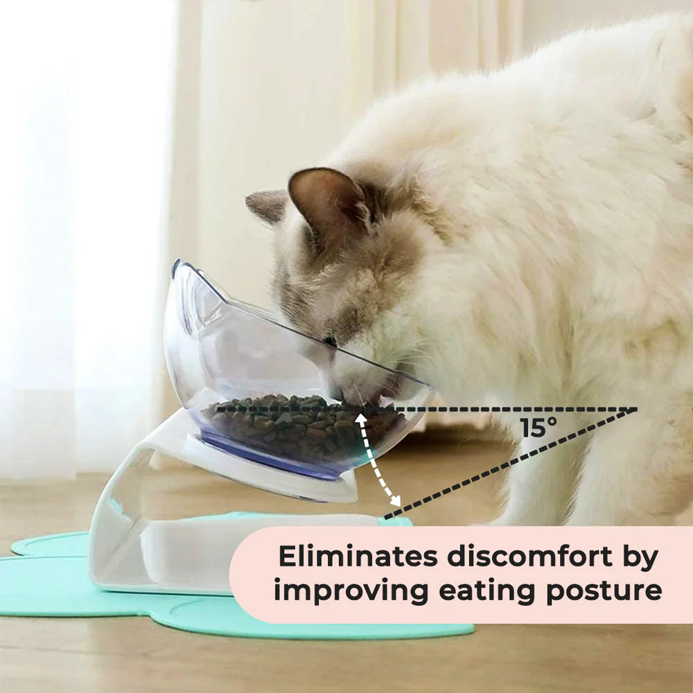 Orthopedic cat bowl