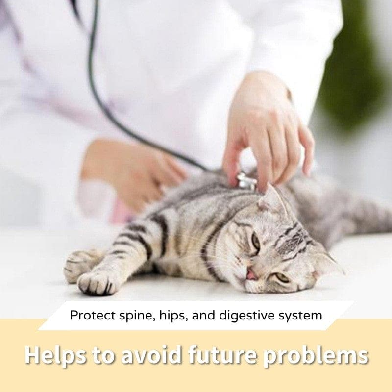 Orthopedic cat bowl