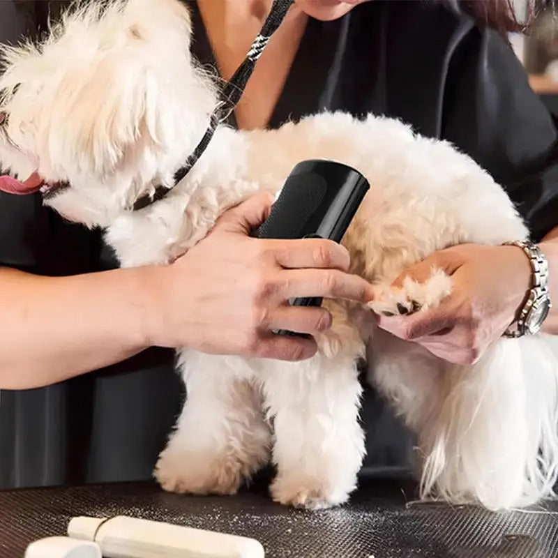 Pet Scraper